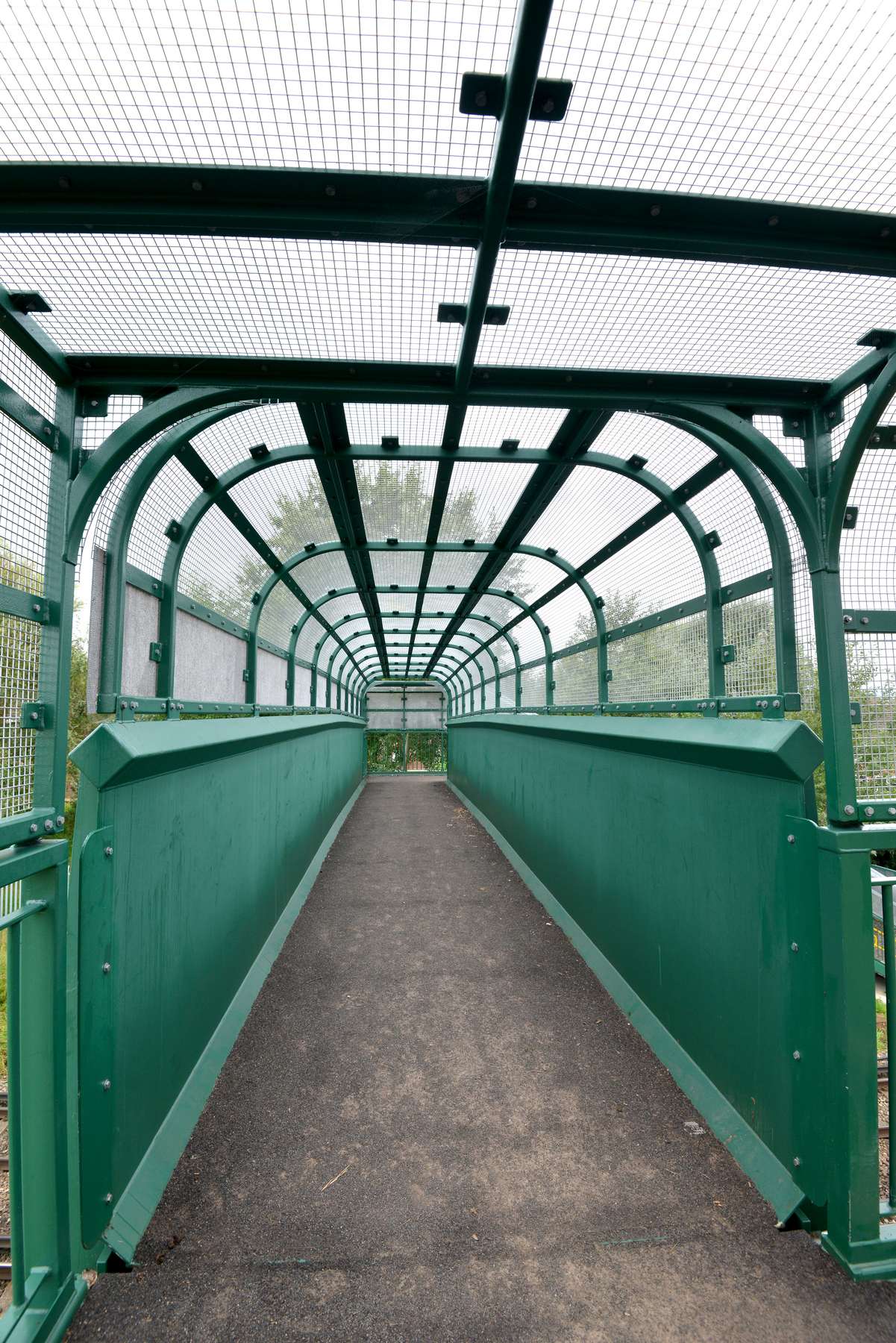 Beaver Bridges rail bridge Willingdon Tree