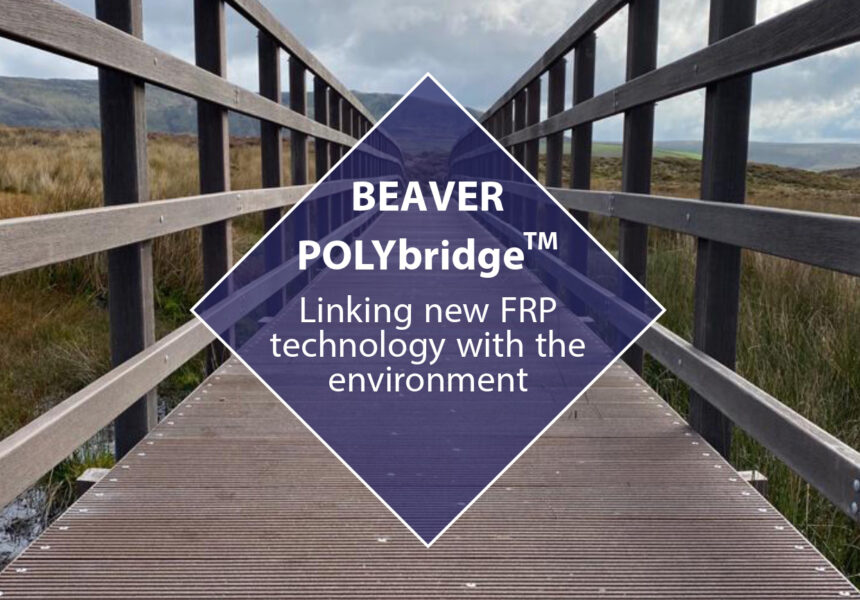 Beaver POLYbridge