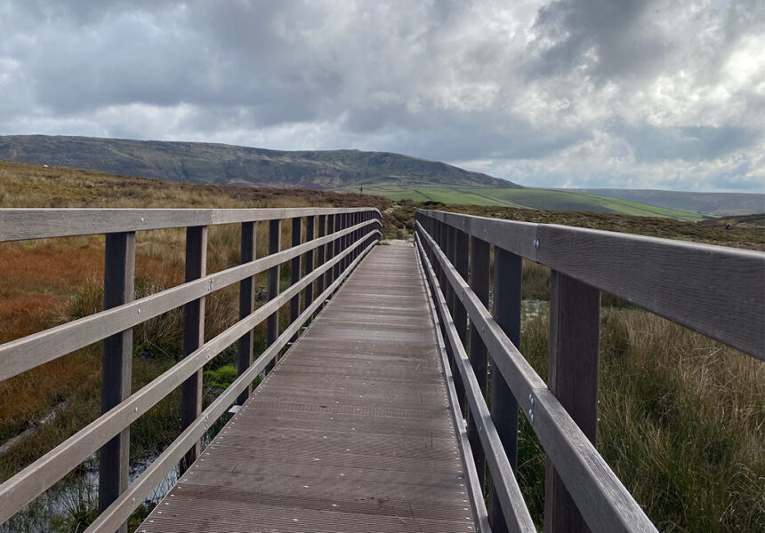 PolyBridge | Beaver Bridges