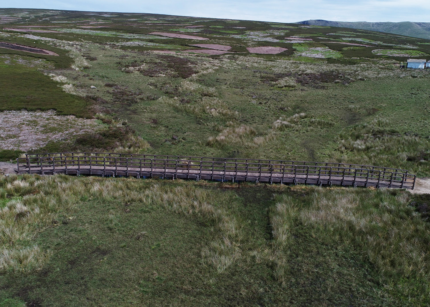 PolyBridge | Beaver Bridges