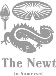 the-newt